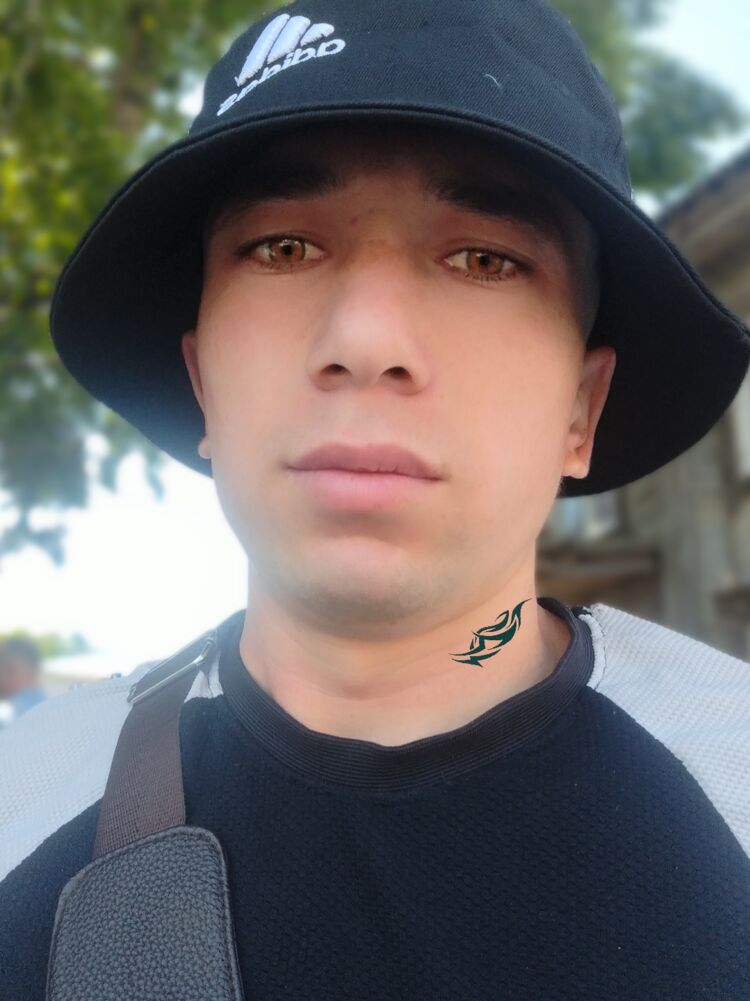  48328894  , 26 ,    