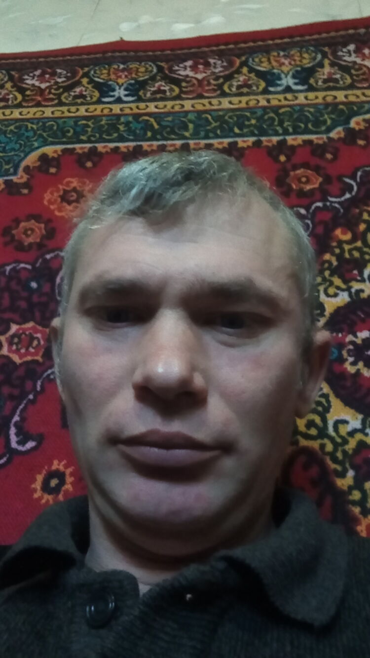  28955584  , 46 ,    