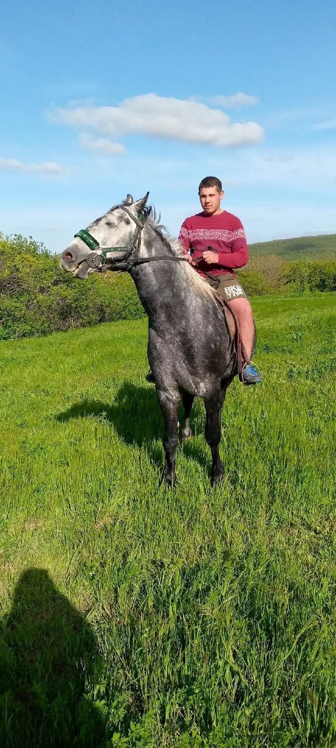 ���� 42997064 ����� ������ ����, 23 ����, ���� ���������� � �����������