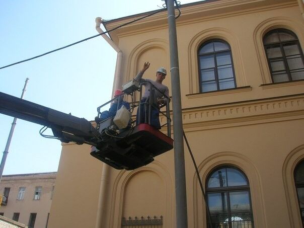  8596244  , 39 ,    -