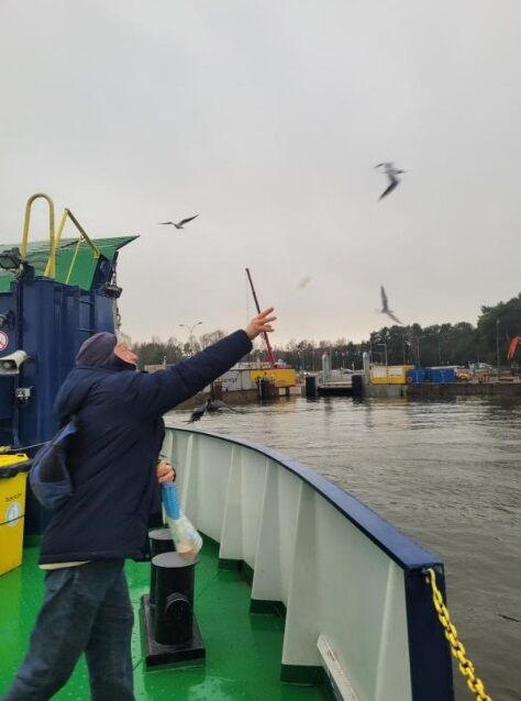 ���������� ��������, ���� ������� ������ �����, 44 ����, ������������ ��� ���������