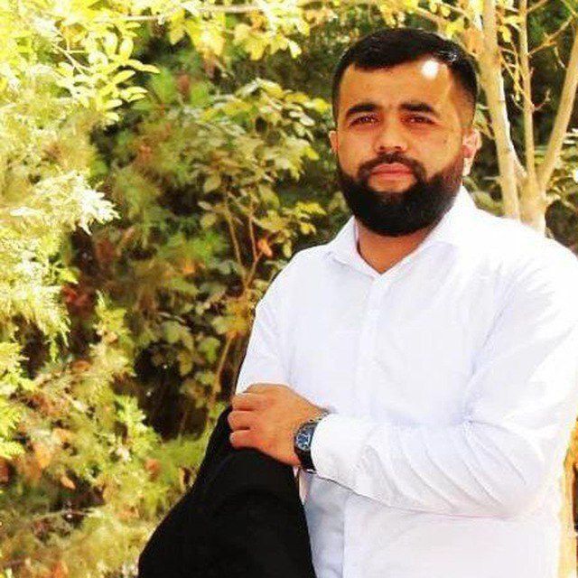 ���� 38334184 ������� Bunya, 32 ����, ���� ���������� � ���������