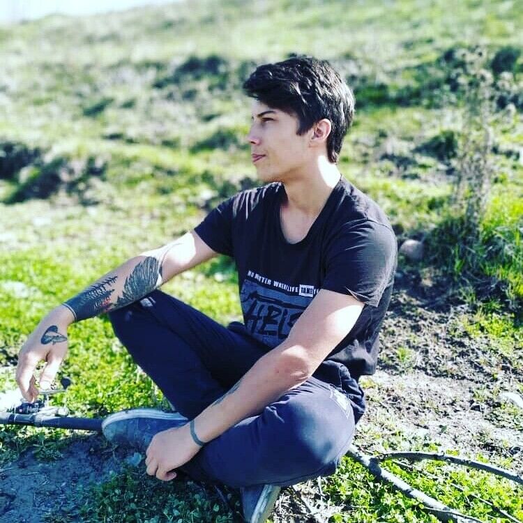 ���������� ������, ���� ������� �����, 29 ���, ������������ ��� ������, ����� � ���������, c�������� ���������