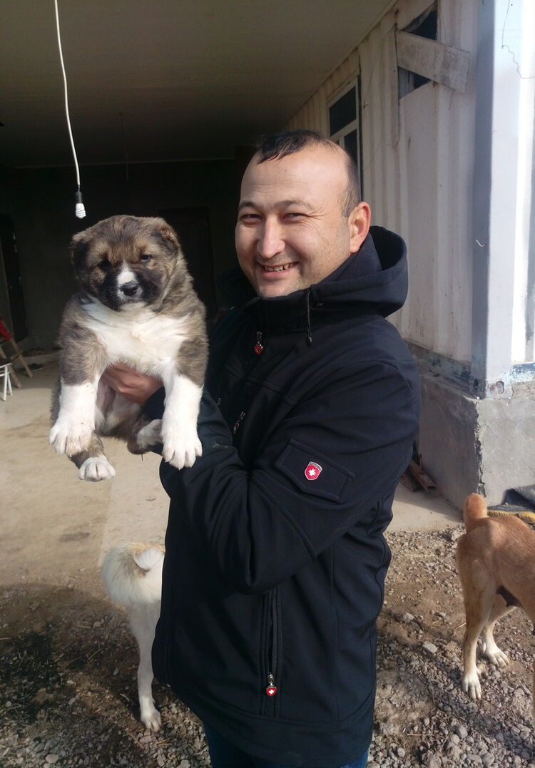  ,   Serdarhan, 45 ,   ,   , c 