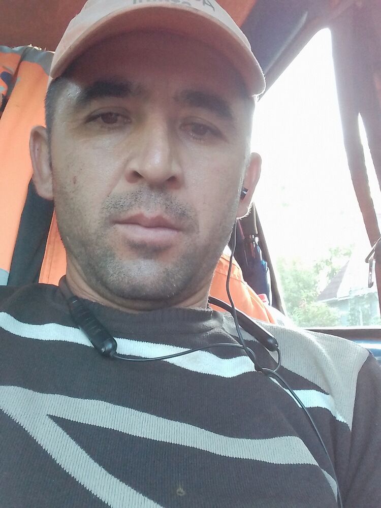  45851734  , 37 ,    -