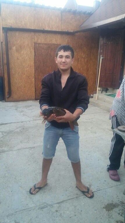 ���� 10669054 ������� Tolik, 34 ����, ���� ���������� � ������