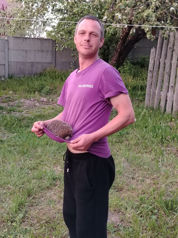  43685504  , 36 ,    