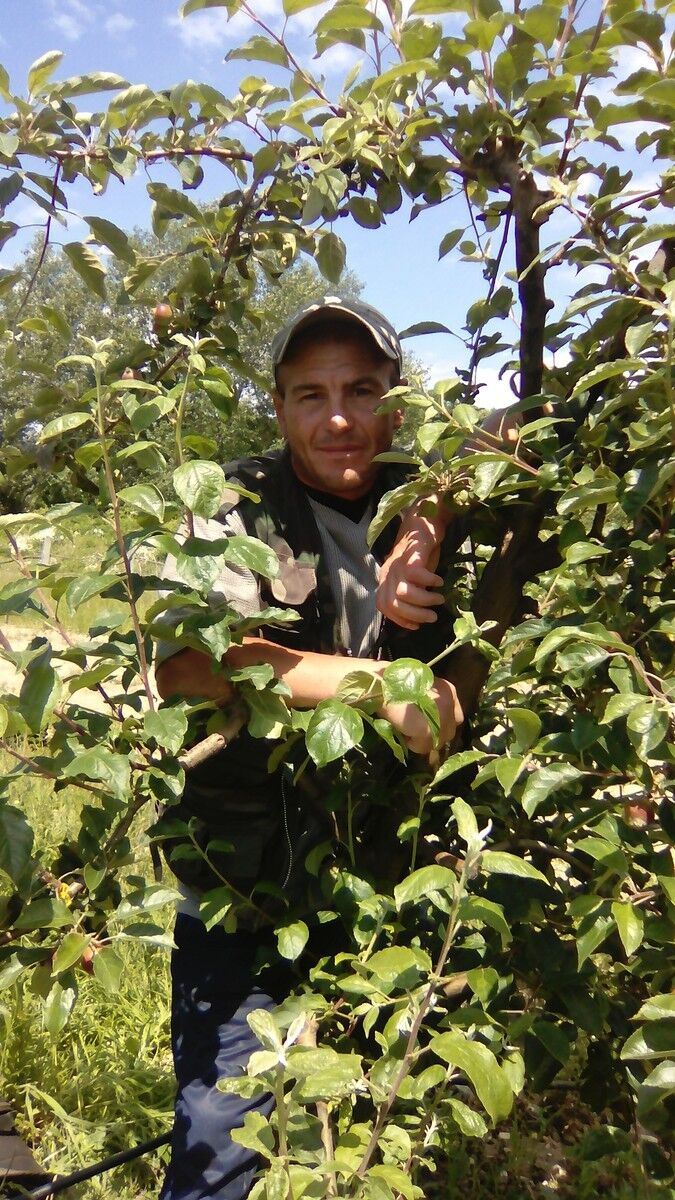 ���������� ������, ���� ������� ��������, 44 ����, ������������ ��� ������, ����� � ���������, c�������� ���������