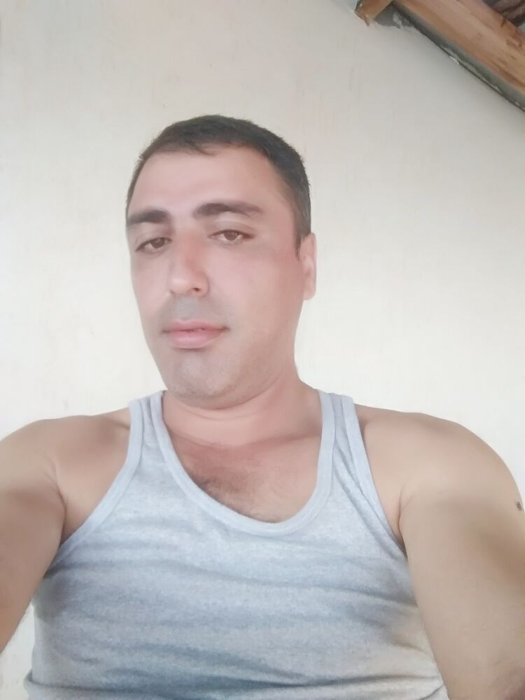  29368494  , 41 ,    