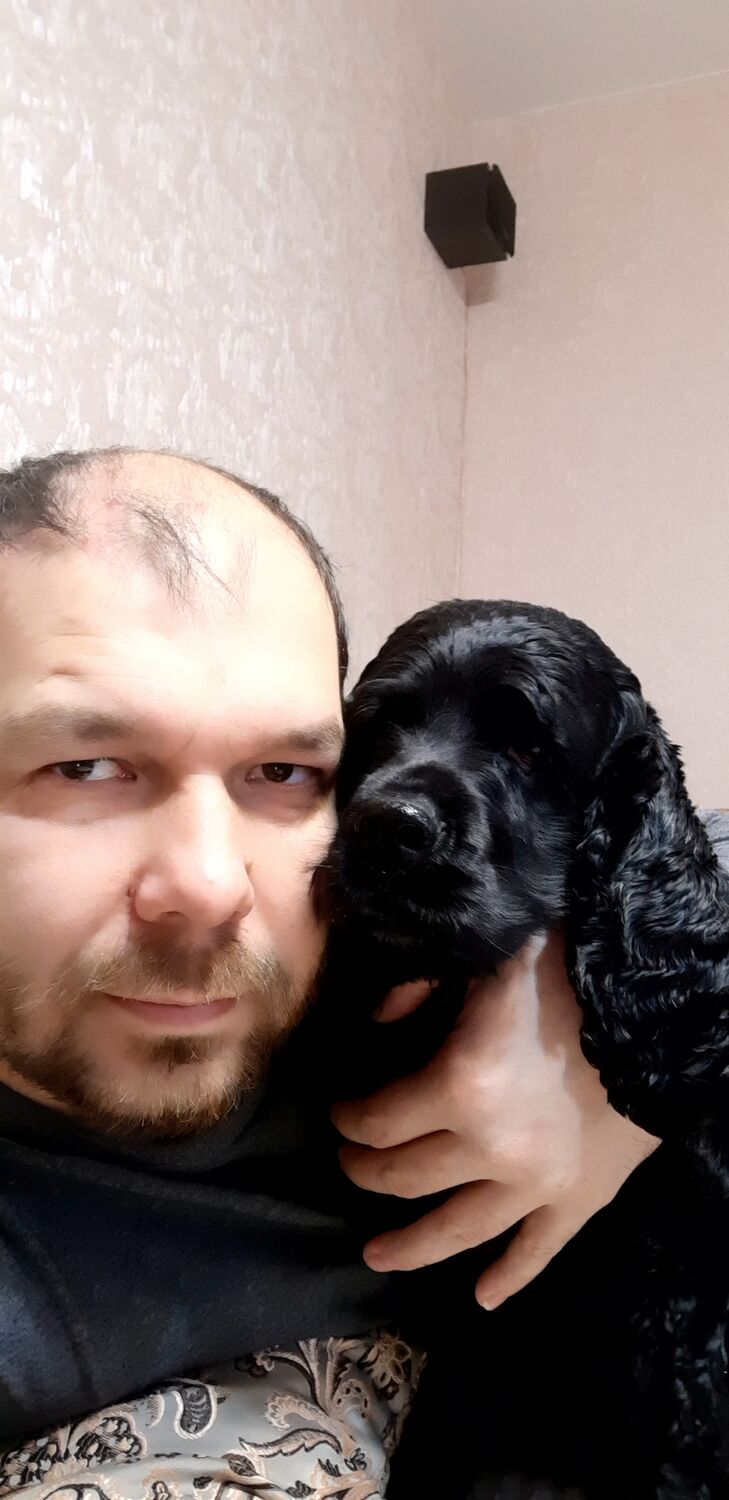  27492934  , 41 ,    -