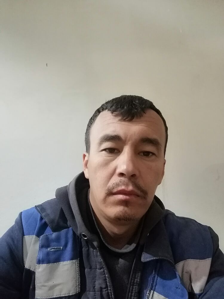  36798124  , 33 ,    