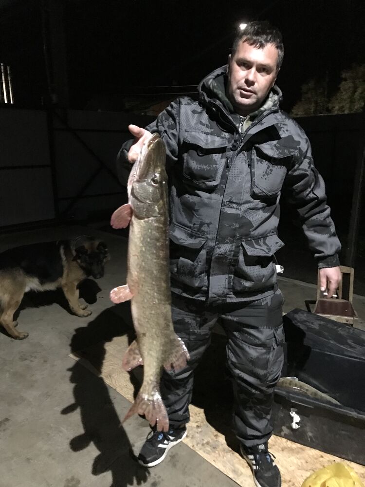 ���������� ������, ���� ������� ����, 38 ���, ������������ ��� ������, ����� � ���������