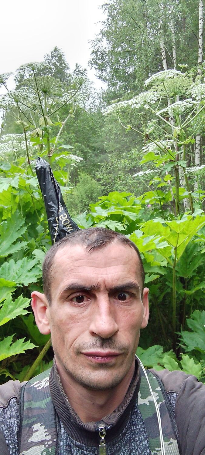  ,   , 42 ,   c 
