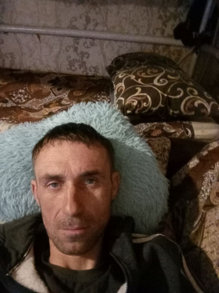  48781994  , 43 ,    