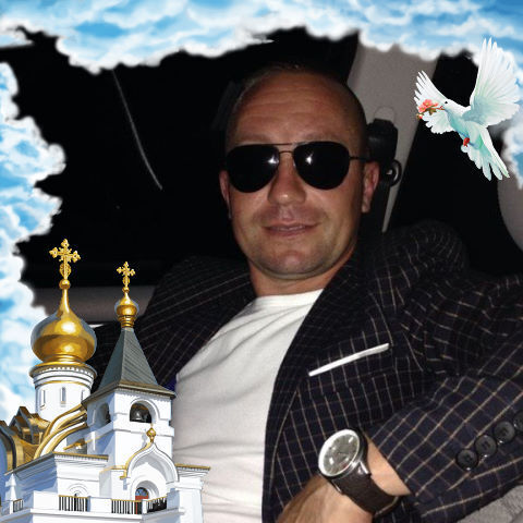 --,   Volf, 39 ,   ,   