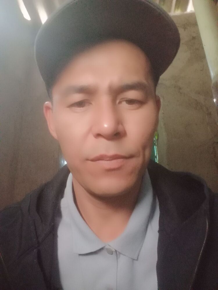 ���� 26982594 ������� ��������, 38 ���, ���� ���������� � ��������