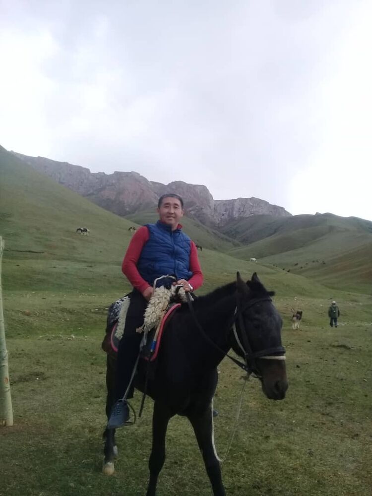 ���� 25053304 ������� ����, 53 ����, ���� ���������� � �������