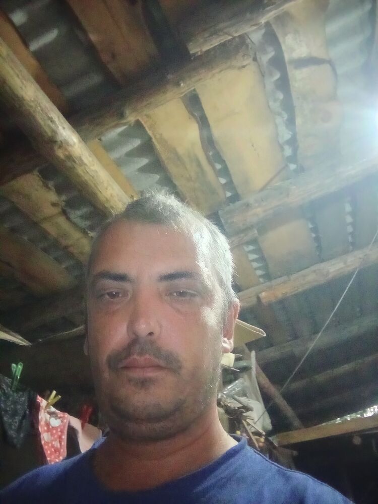 46224184  , 43 ,    