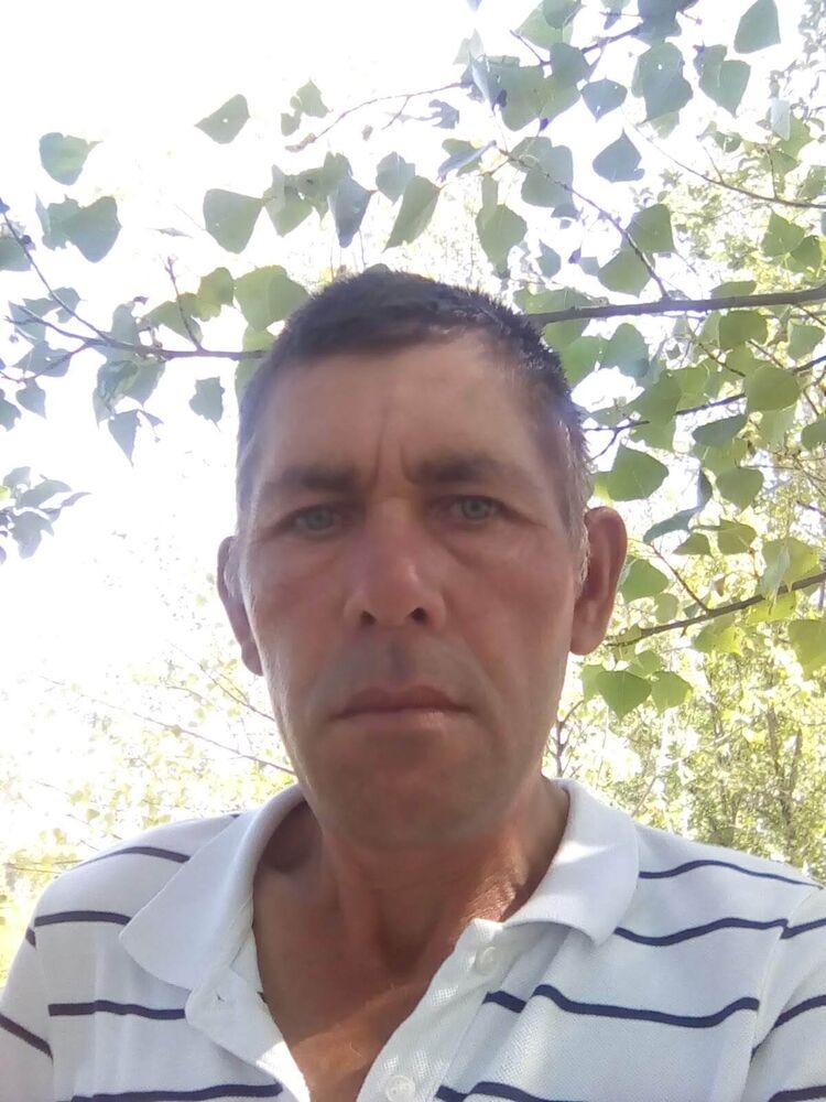 23873564  , 48 ,    