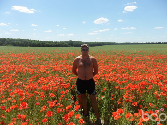 ���������� �����, ���� ������� ����, 44 ����, ������������ 