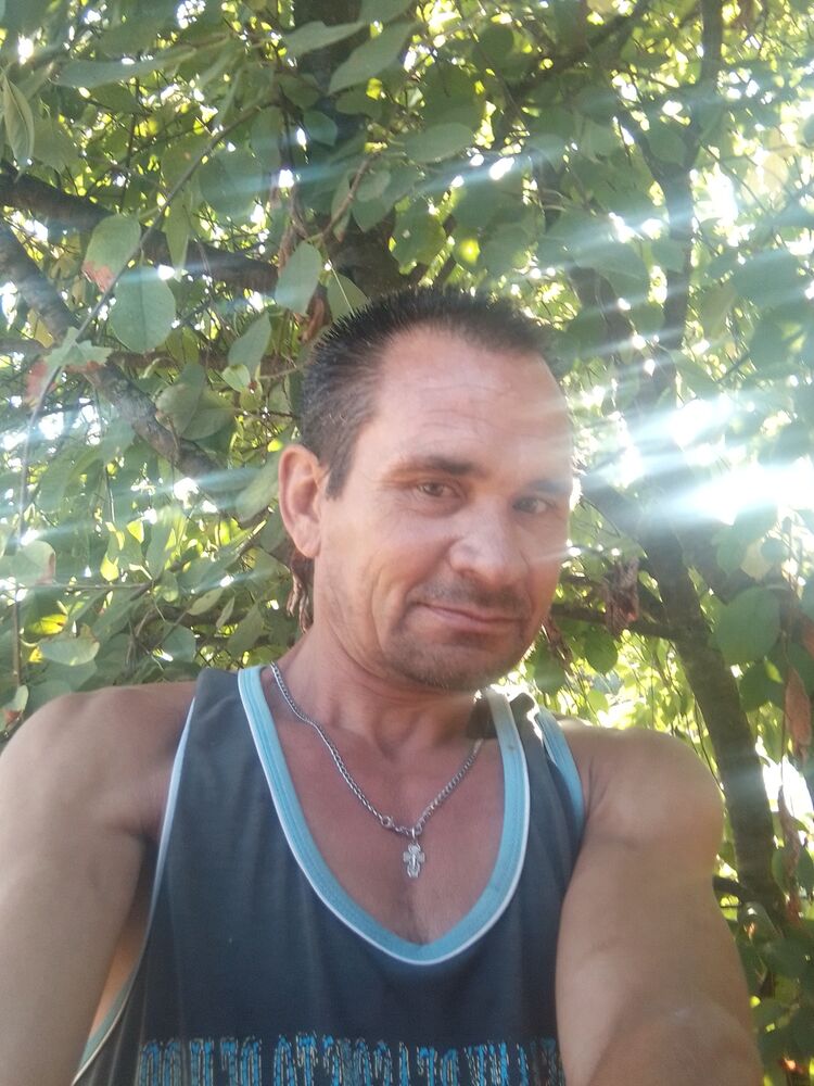  53364544   , 46 ,    