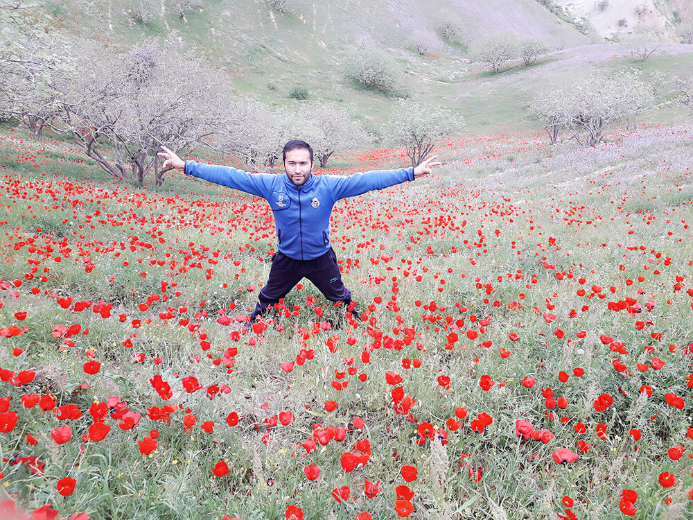 ���������� ������, ���� ������� Black Wolf, 34 ����, ������������ ��� ����� � ���������, c�������� ���������, ���������