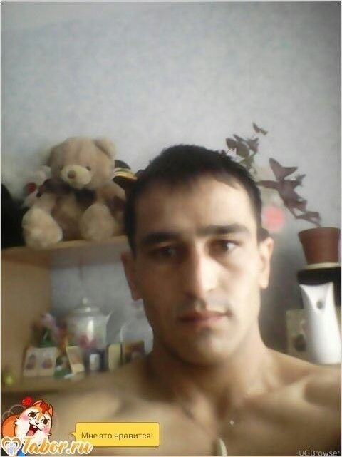  17973274  , 38 ,    