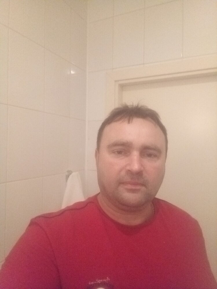  21333684  , 49 ,    -