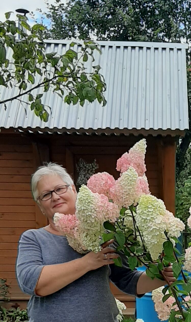 ���� 50287184 ������� �����, 65 ���, ���� ���������� � ������ ���������