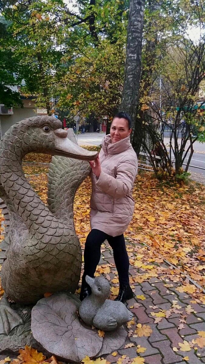  ,   , 53 ,  