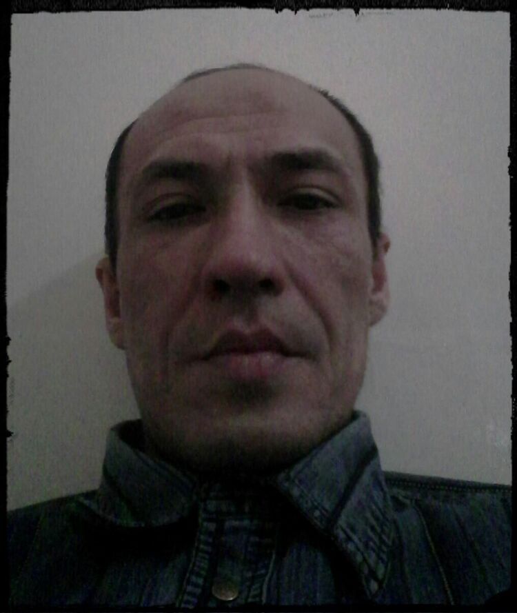  22338554  , 51 ,    