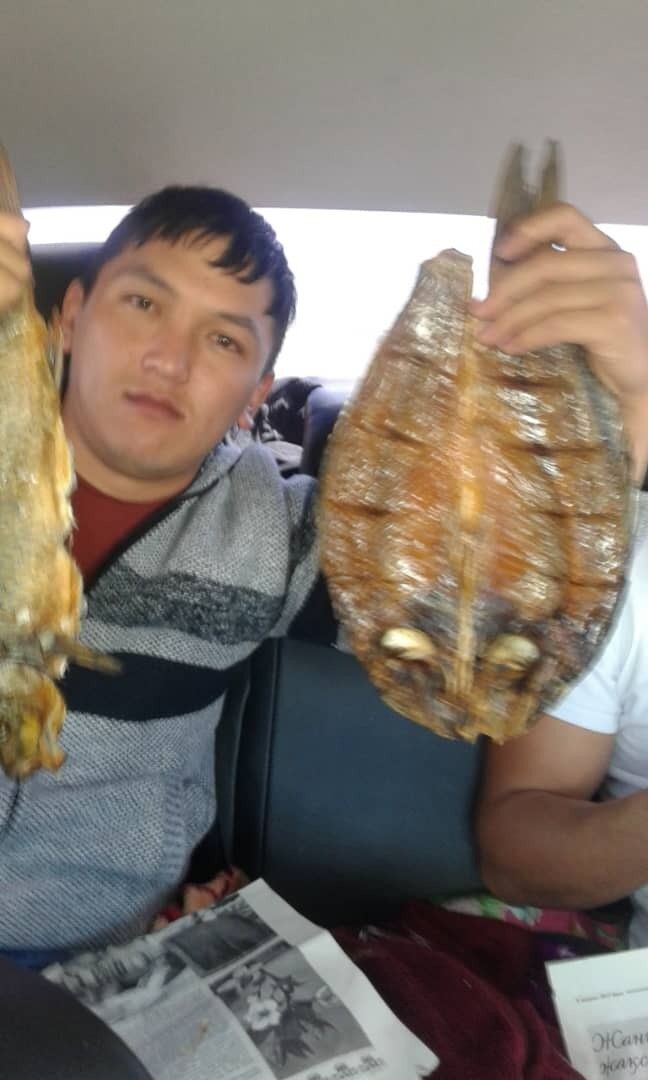 ���� 15908704 ������� ����, 34 ����, ���� ���������� � ������