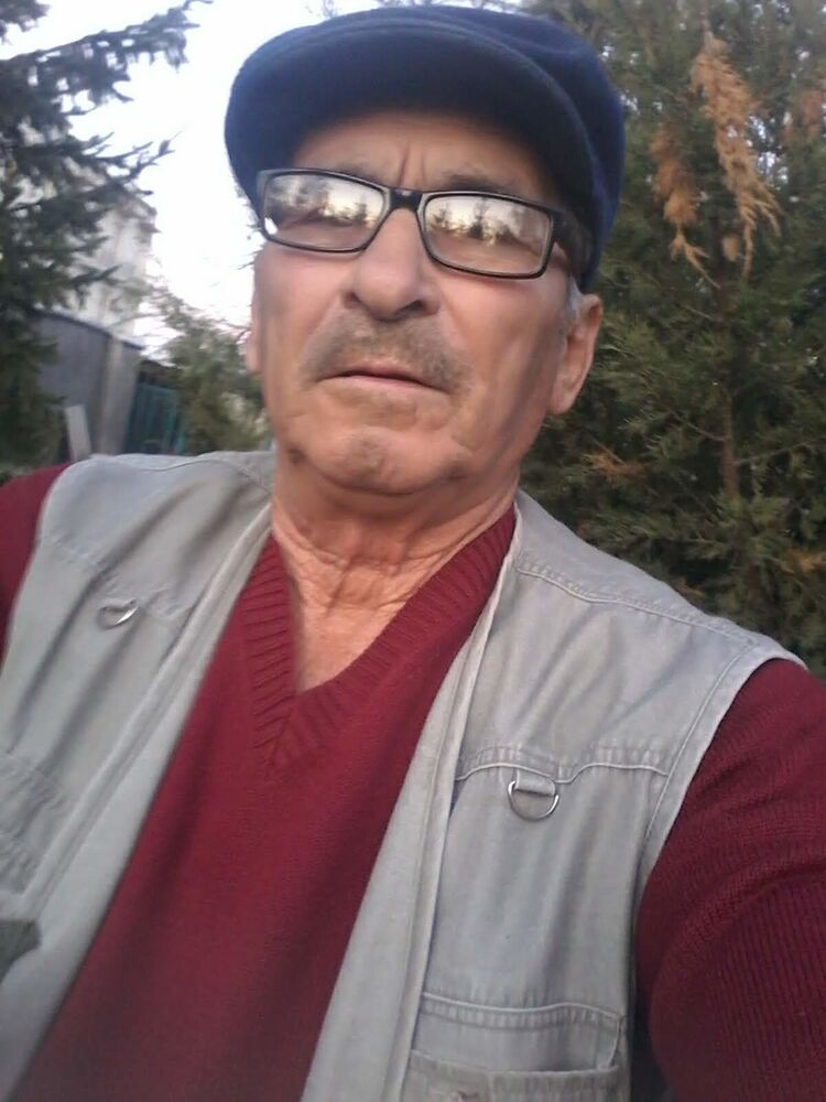  18317784  Sasha, 77 ,    