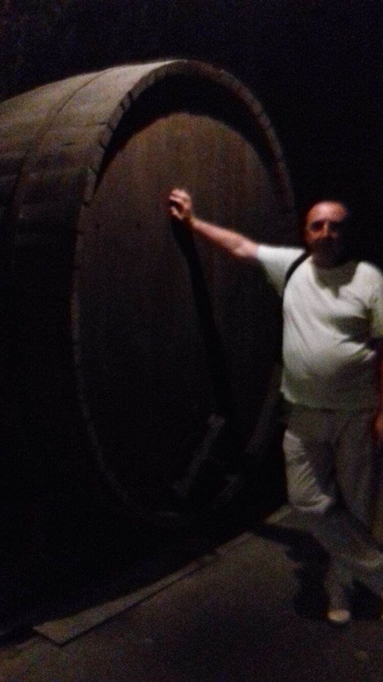  23438404  , 55 ,    