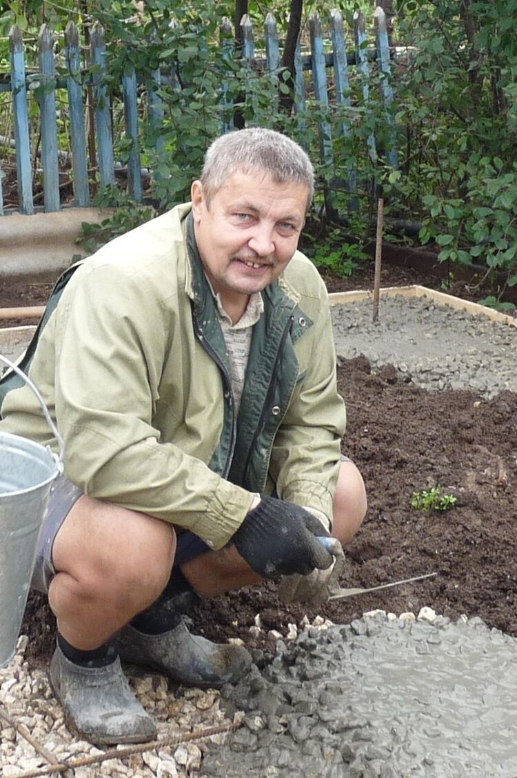 ���� 4243654 ������� ����, 80 ���, ���� ���������� � ���������