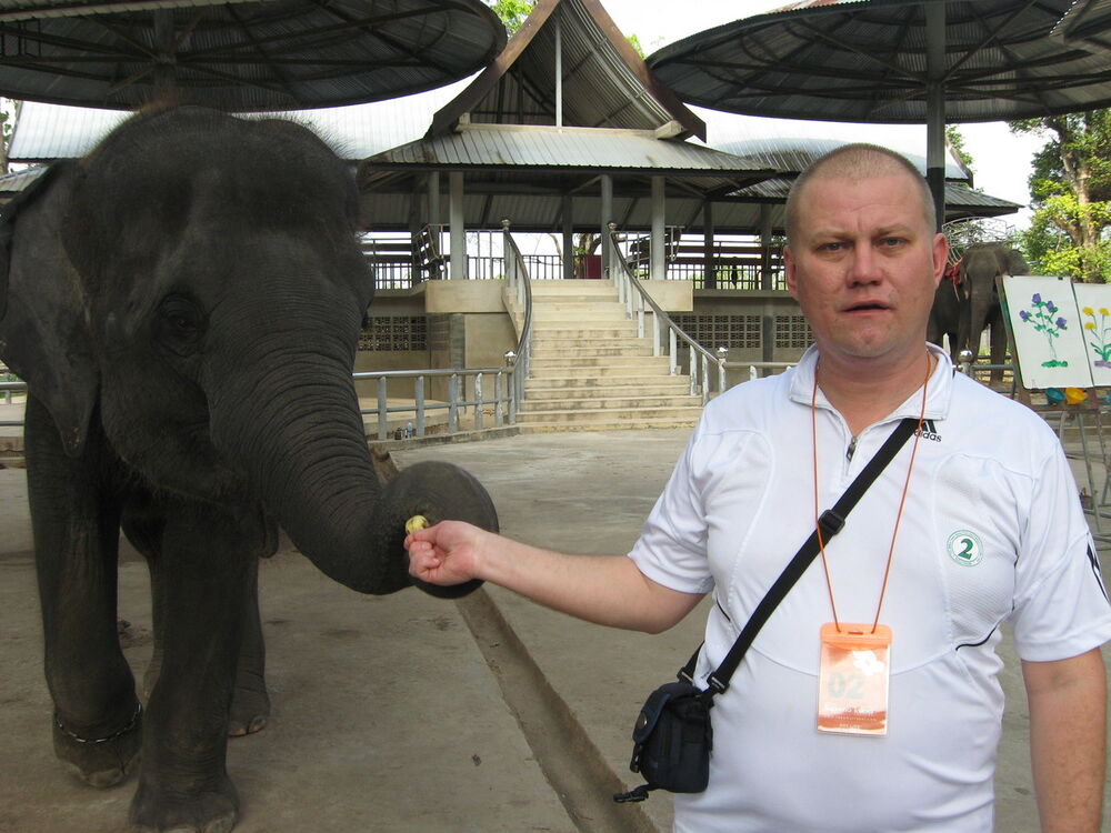 ���������� ��������������, ���� ������� ����, 43 ����, ������������ ��� ������, ����� � ���������, c�������� ���������