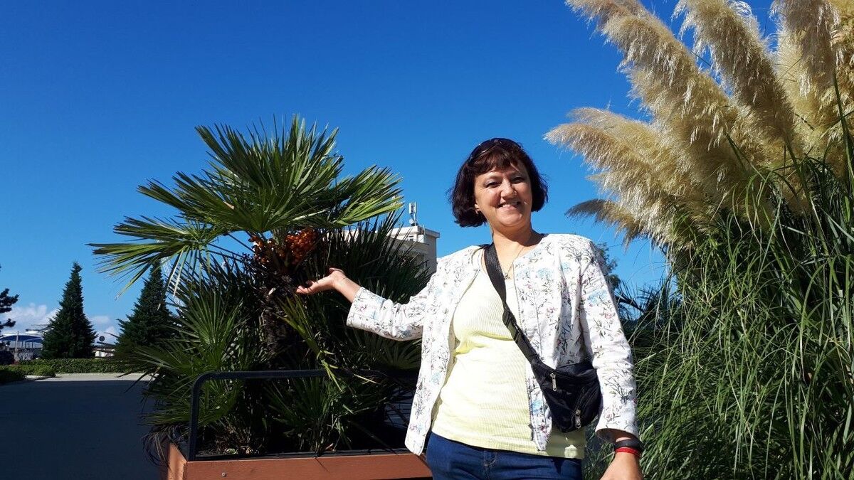  ,   , 53 ,     , c 