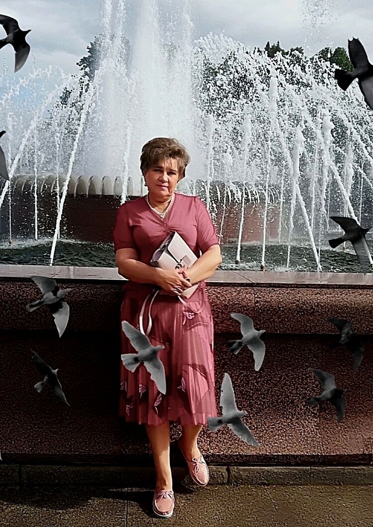  54485394  , 65 ,    -