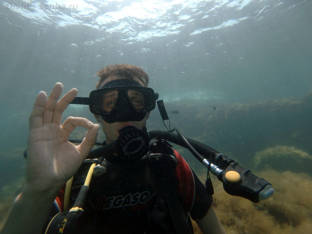 ���������� �����������, ���� ������� ���������, 32 ����, ������������ ��� ������, ����� � ���������