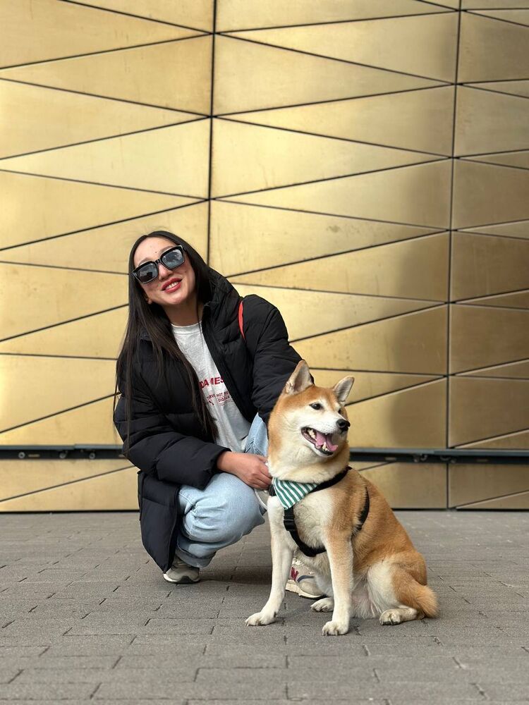 ���������� �����-���������, ���� ������� ������, 28 ���, ������������ ��� ������, ����� � ���������