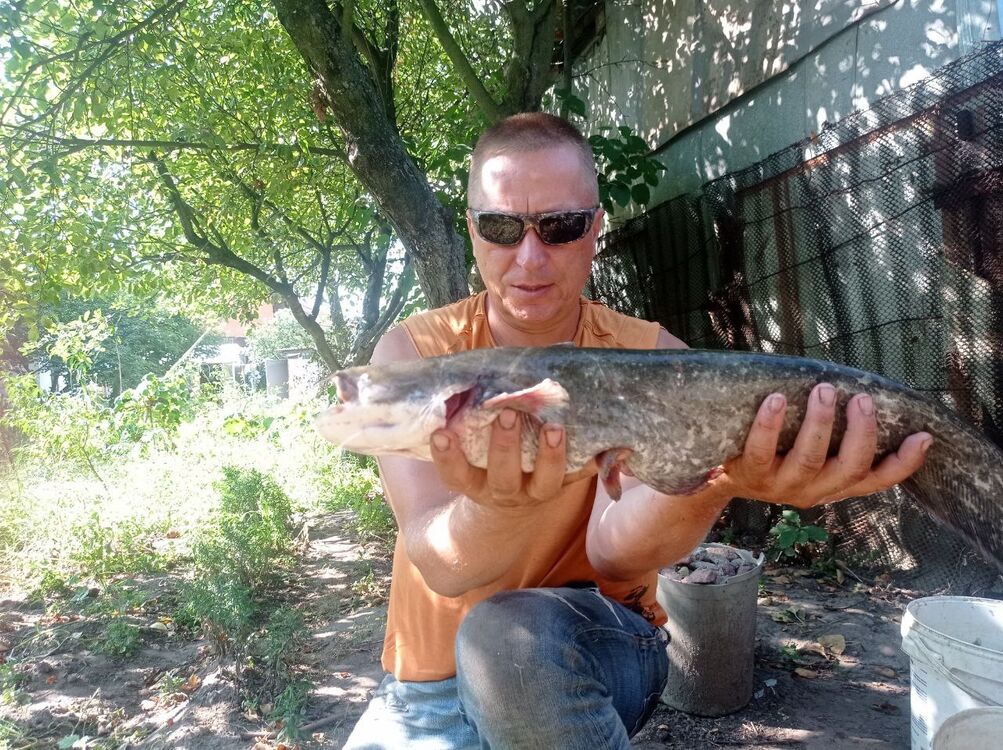 ���� 39641524 ������� ������, 49 ���, ���� ���������� � �����