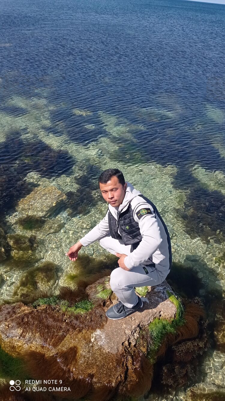 ���� 44677354 ������� Kuvon, 30 ���, ���� ���������� � ������