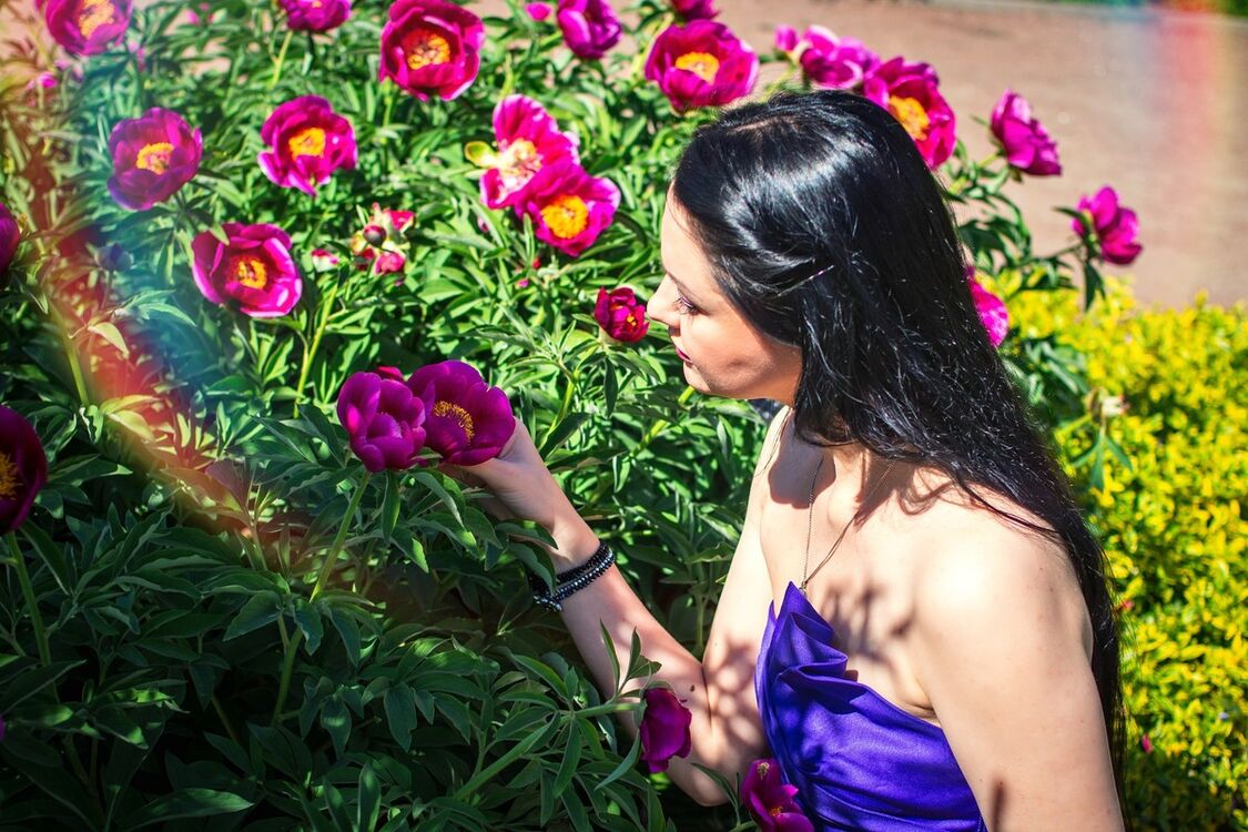 ���� 18353194 ������� �������, 45 ���, ���� ���������� � �����