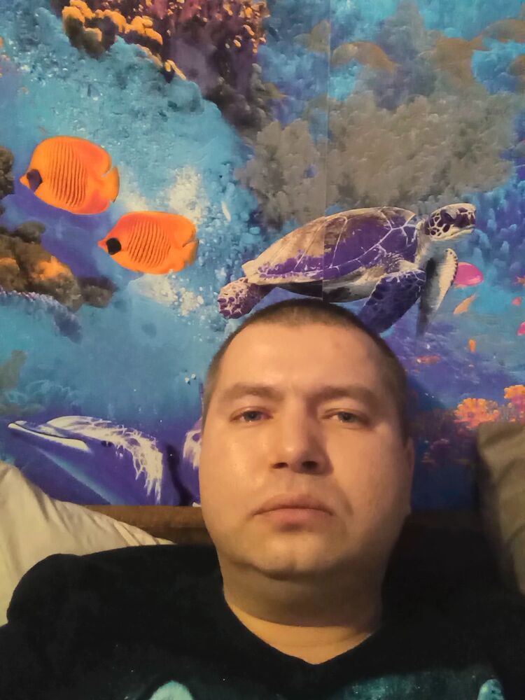  34084214  , 39 ,    