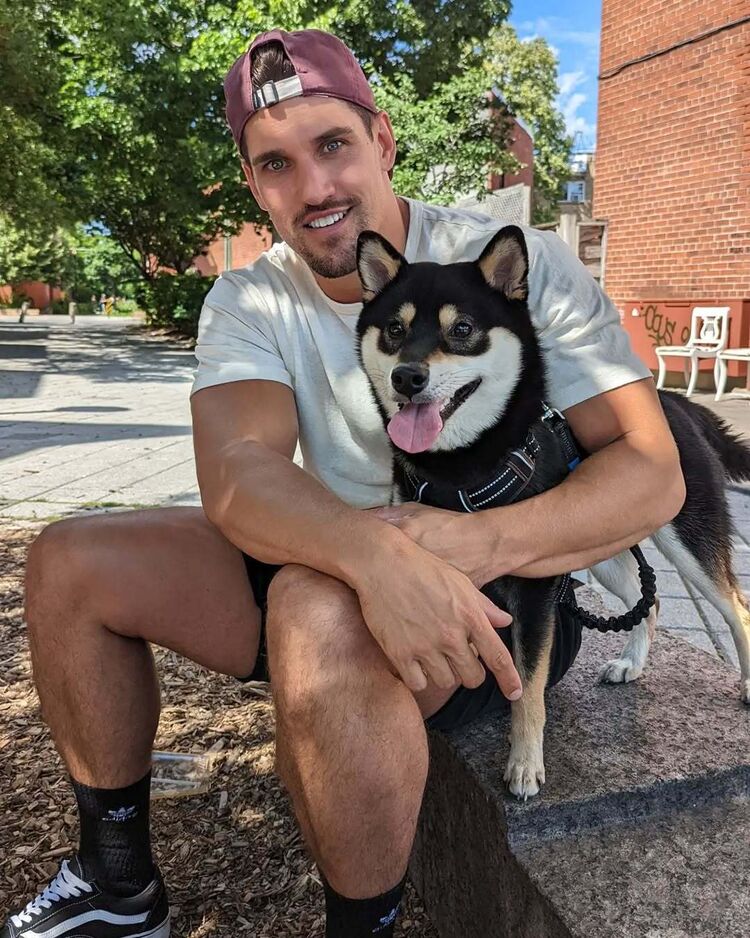 ���������� �������, ���� ������� �����, 38 ���, ������������ ��� ������, ����� � ���������, c�������� ���������