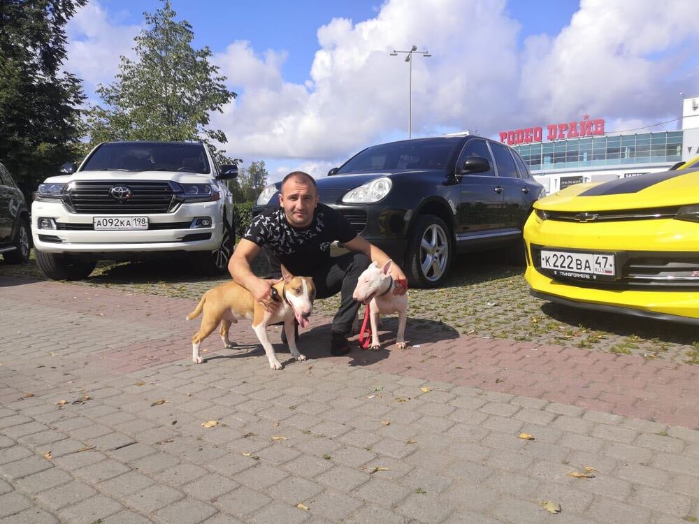 ���� 37119004 ������� Araz, 35 ���, ���� ���������� � �����-����������