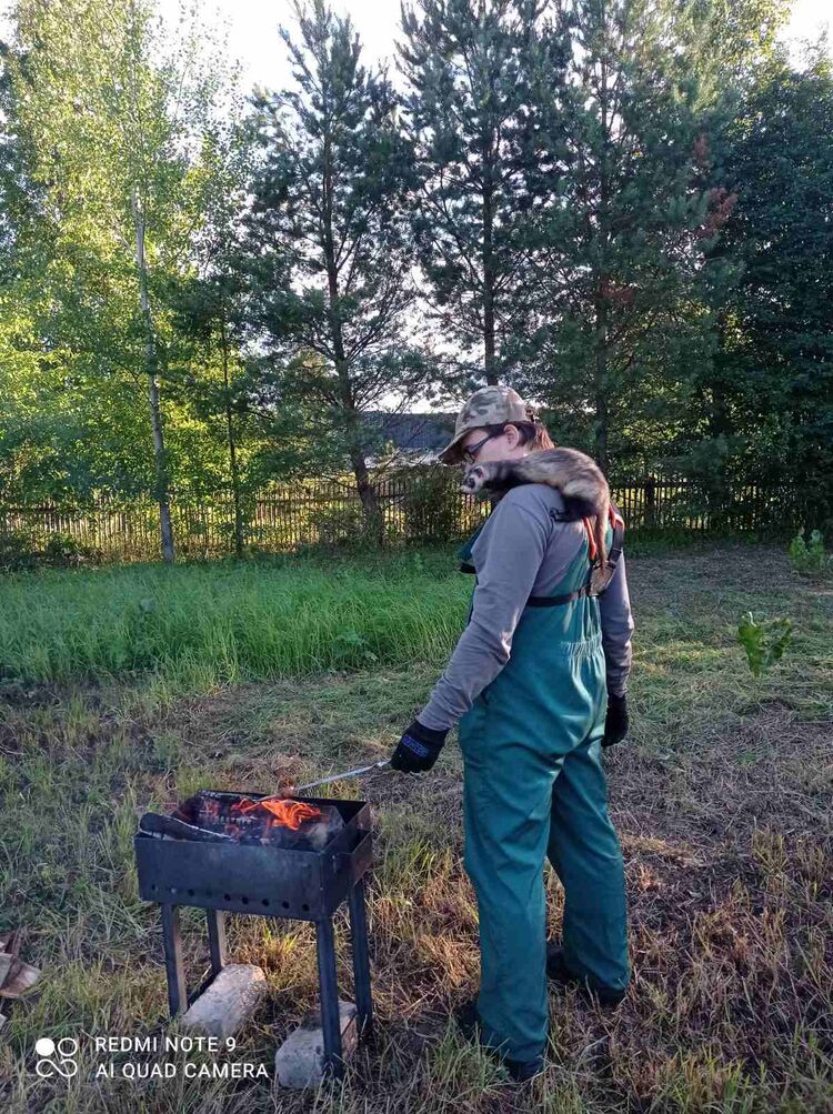 ���������� �����, ���� ������� �����, 39 ���, ������������ ��� ������, ����� � ���������