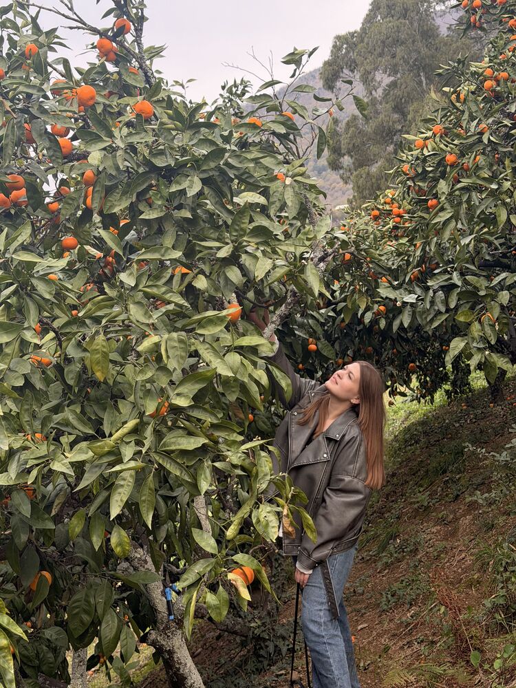 ���������� ������, ���� ������� ����, 29 ���, ������������ ��� ������, ����� � ���������, c�������� ���������