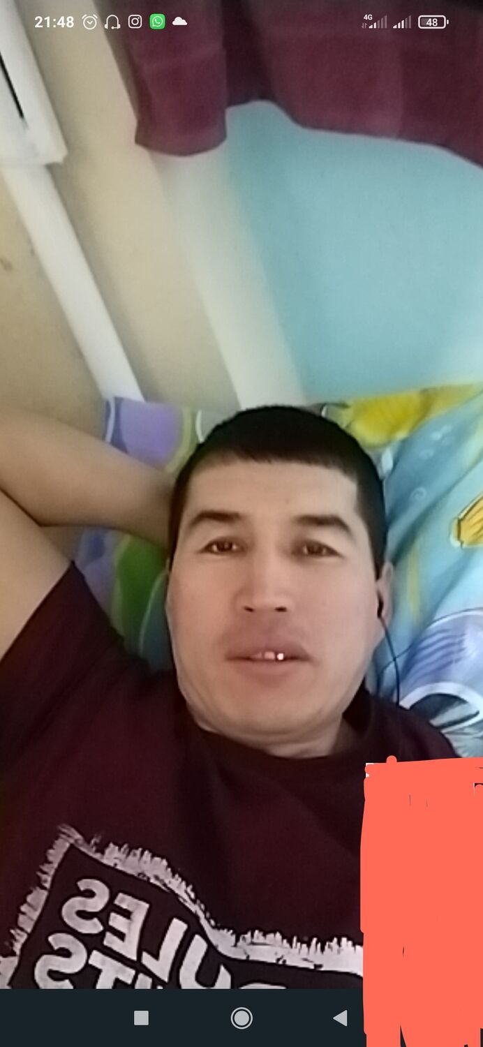  31840634  , 43 ,    