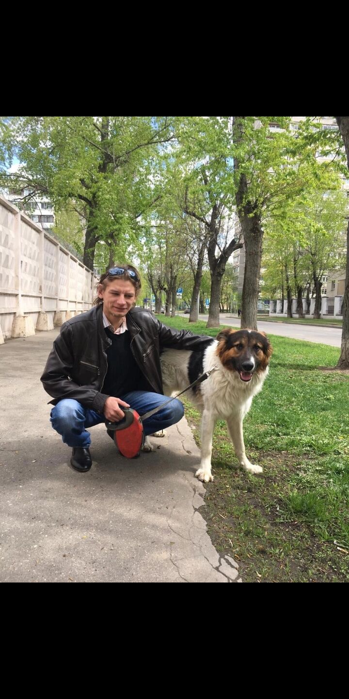 ���������� ������, ���� ������� ���������, 37 ���, ������������ ��� ������, ����� � ���������, c�������� ���������, ���������